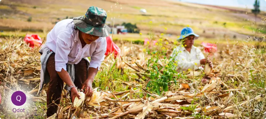 Trusted ISO Certification Consultancy Experts In UAE, Dubai, Abu Dhabi, Sharjah